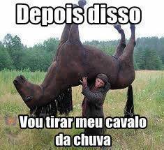 cavalo-na-chuva-plano-critico