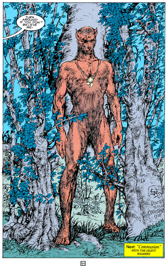 Animal Man (1988-1995) plano critico caminhante silencioso homem animal