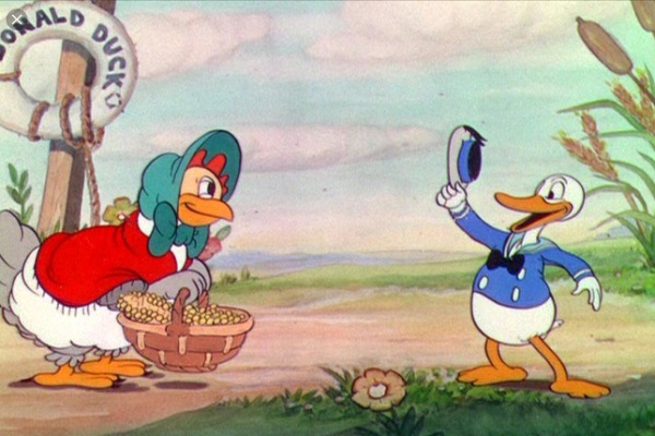 Caricatura de filme The Walt Disney Company Google, galinha