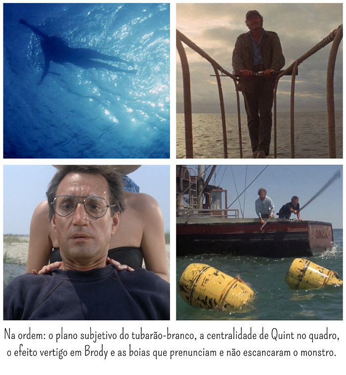 Ocean Defender - Brasil - Por que o tubarão do filme Jaws, não é